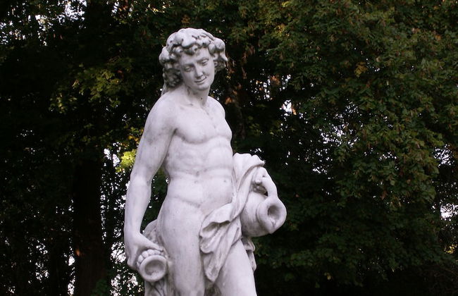 Château de la Court d'Aron - Foto 46