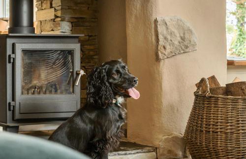 Glebe Cottage, Little Petherick, near Padstow - Foto 29