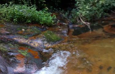 Bangalô - Sítio Cachoeiras do Caledônia - Foto 16