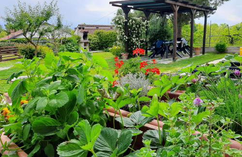 Cascina Teresina Monferrato Piscina - Foto 10