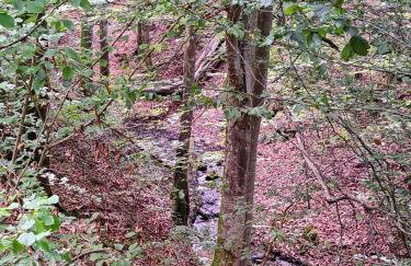 Mały Domek - Foto 14