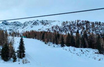 Sweet Home Gardenia - Foto 49