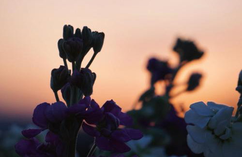 The Barn, Summerhill Farm Stays - Foto 14