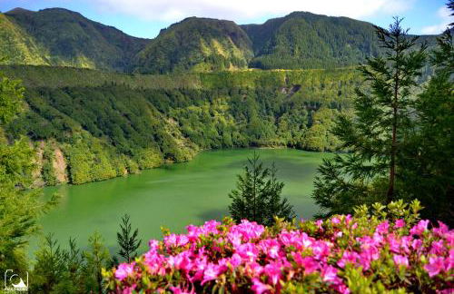 LAGOON'S HOUSE - Photo 41