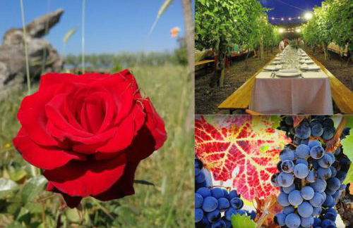 Le casette di Frà al Bondì - Foto 77