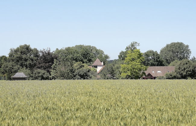 Hof van Eine - Foto 30