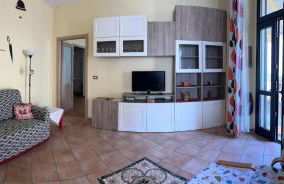 i tulipani - Foto 11