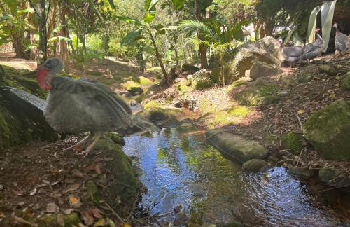 Casa em Friburgo com piscina, lareira suíte & quarto ATENCAO SABADO DIA 18 DE ABRIL TERA FESTA NA CHACARA - Foto 19