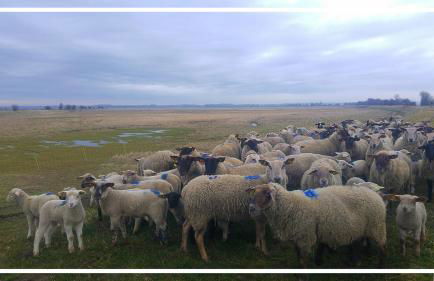 Odyssée gîte sur Péniche - Foto 44