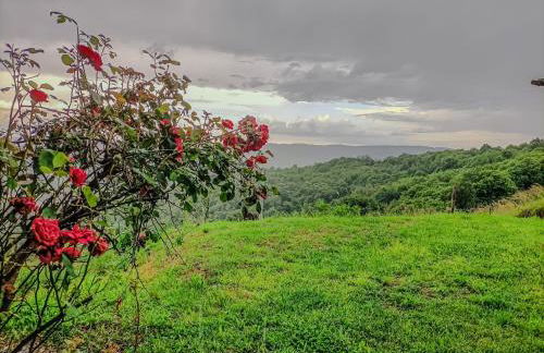 Chalet di montagna in pietra - Val di Chy - Foto 12