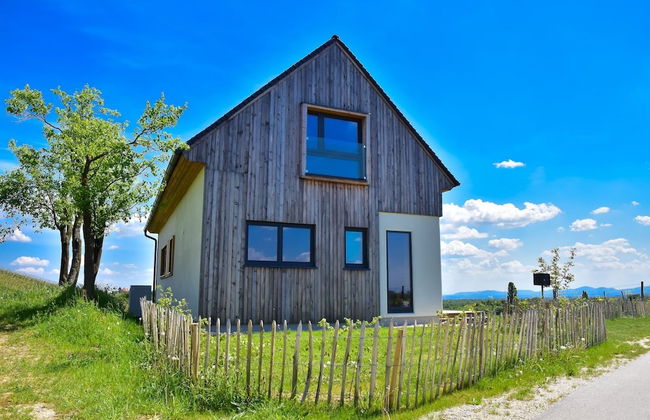 Vineyard Eco House Vukan - Photo 18