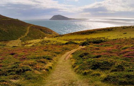 Stunning Barn Conversion with HOT TUB and ALPACAS - Ty Cerrig Barn - Photo 64
