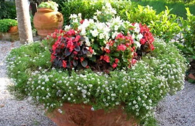 B&B Le Logge Di Sopra - Photo 33