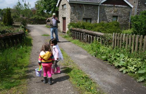 Swansea Valley Holiday Cottages - Foto 94