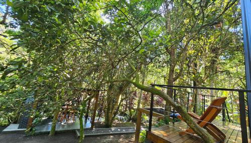 Um chalé e um riacho no meio da natureza - Foto 5