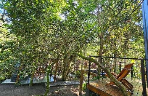 Um chalé e um riacho no meio da natureza - Foto 5