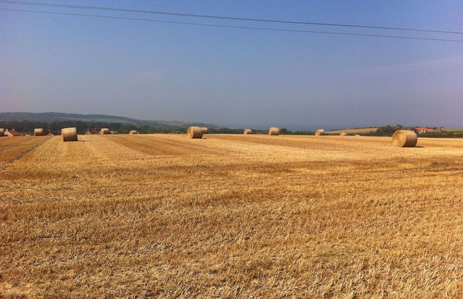 The Granary Cottages Whitby North Yorkshire - Foto 5