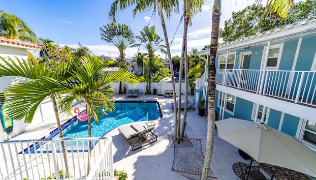 The Blue Parrot - Foto 2, Profilbild