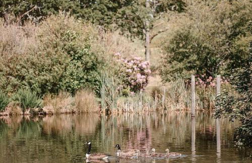 The Old Coach House at Hendra Barns - Foto 17