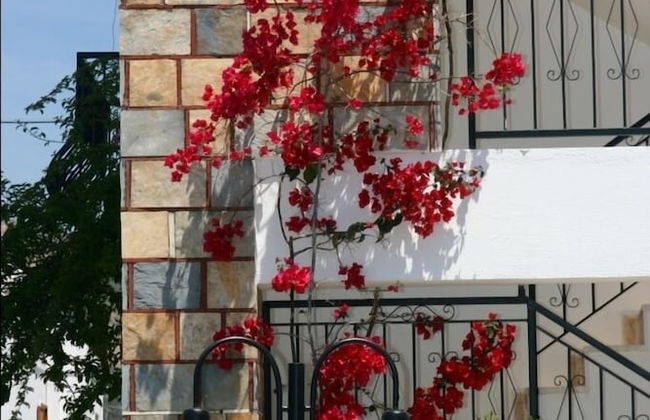 Agar Apart - Photo 24