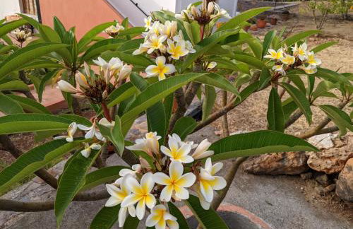 House of Polymnia - Photo 60