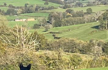 The Place to Be - Foto 13