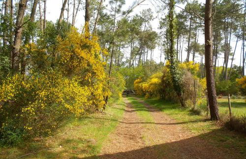 Les Rives du Lac de Léon - Foto 14