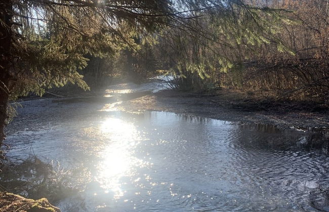 Bear Bottoms at Salmon Creek - Foto 1