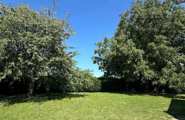 La Maison d'Herbilly - Photo 16