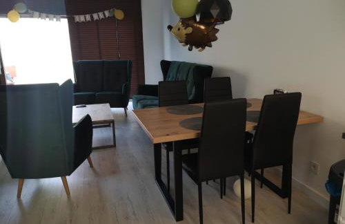 Willa Kaszubski Sendom - Foto 22