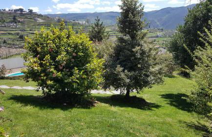 Casa de Tapadeiro - Foto 55