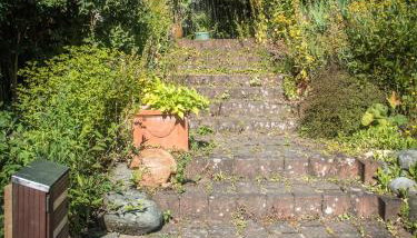 Antel 42 - Foto 5, Garden