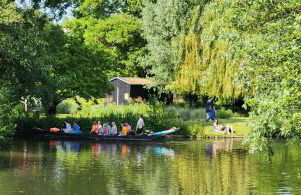 Les Hortensias Blancs Studio - Foto 21