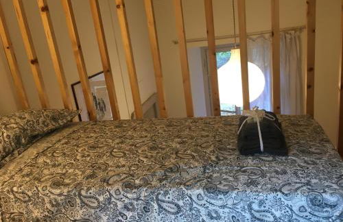 Ortensia riviera d'Orta - Foto 49