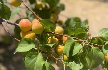 Aegean Endless Summer Villa Pefkos - Foto 53