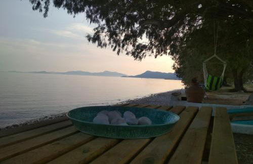 House On The Wave - Foto 32