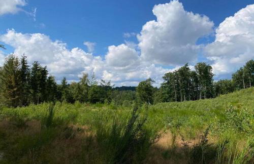 Holiday Home in Ró ewko with Pool and Orchard - Foto 23