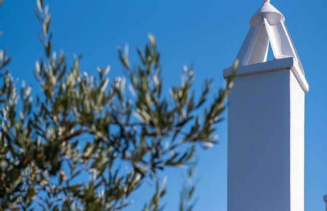 Stargaze Villas - Photo 41