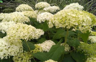 Ferienwohnung in der Rhön Sitzmann - Foto 29