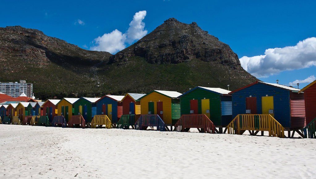 Tour de um dia na península do Cabo - Foto 1