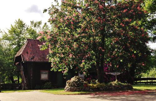 Reiterhof Winandy - Foto 5