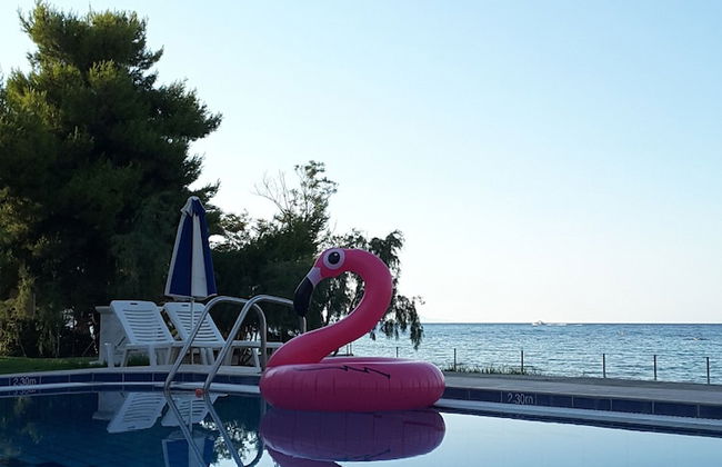 Maria Mare Apart-hotel - Foto 26