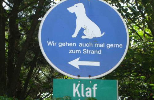 Midlum Zaunkönig - Foto 12