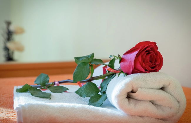 Apartment in Dalmatia near Sea - Foto 24