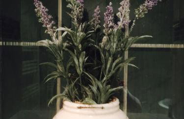 Stylish boutique annexe nestled in Bloxham village - Foto 3