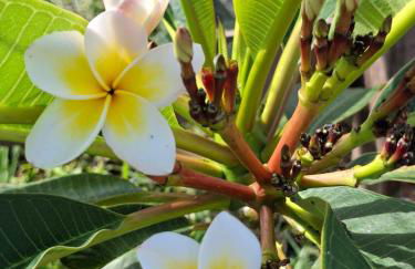 Chalé lindo e confortável! - Foto 8