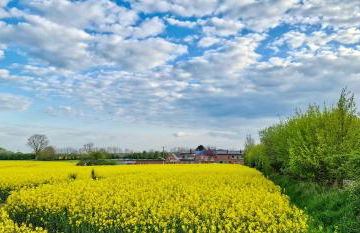 Ferienwohnung „Waschköök“ - Hof Mühlenkoppel - Foto 11