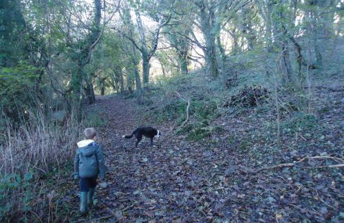 Swallow Cottage - Foto 39