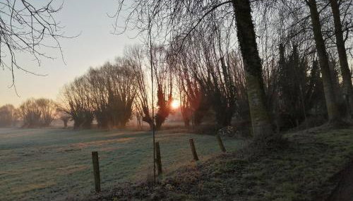 Le chant des grenouilles - Foto 5