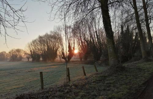 Le chant des grenouilles - Foto 5